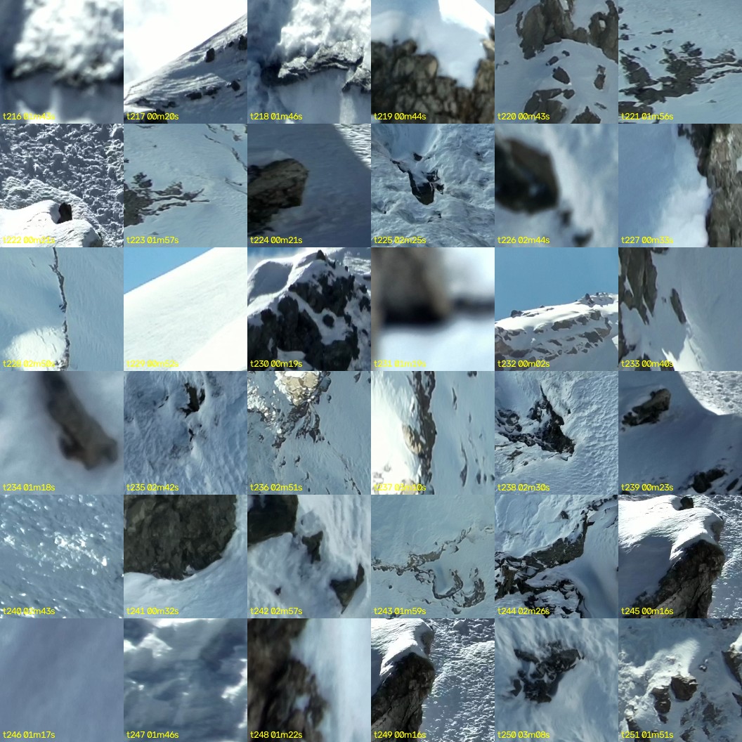 montage_06.jpg