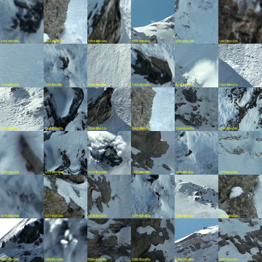 montage_07.jpg