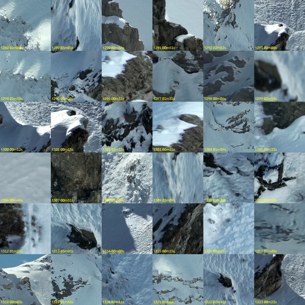 montage_08.jpg