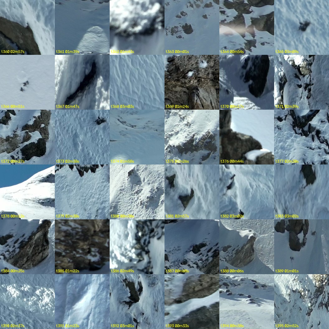 montage_10.jpg