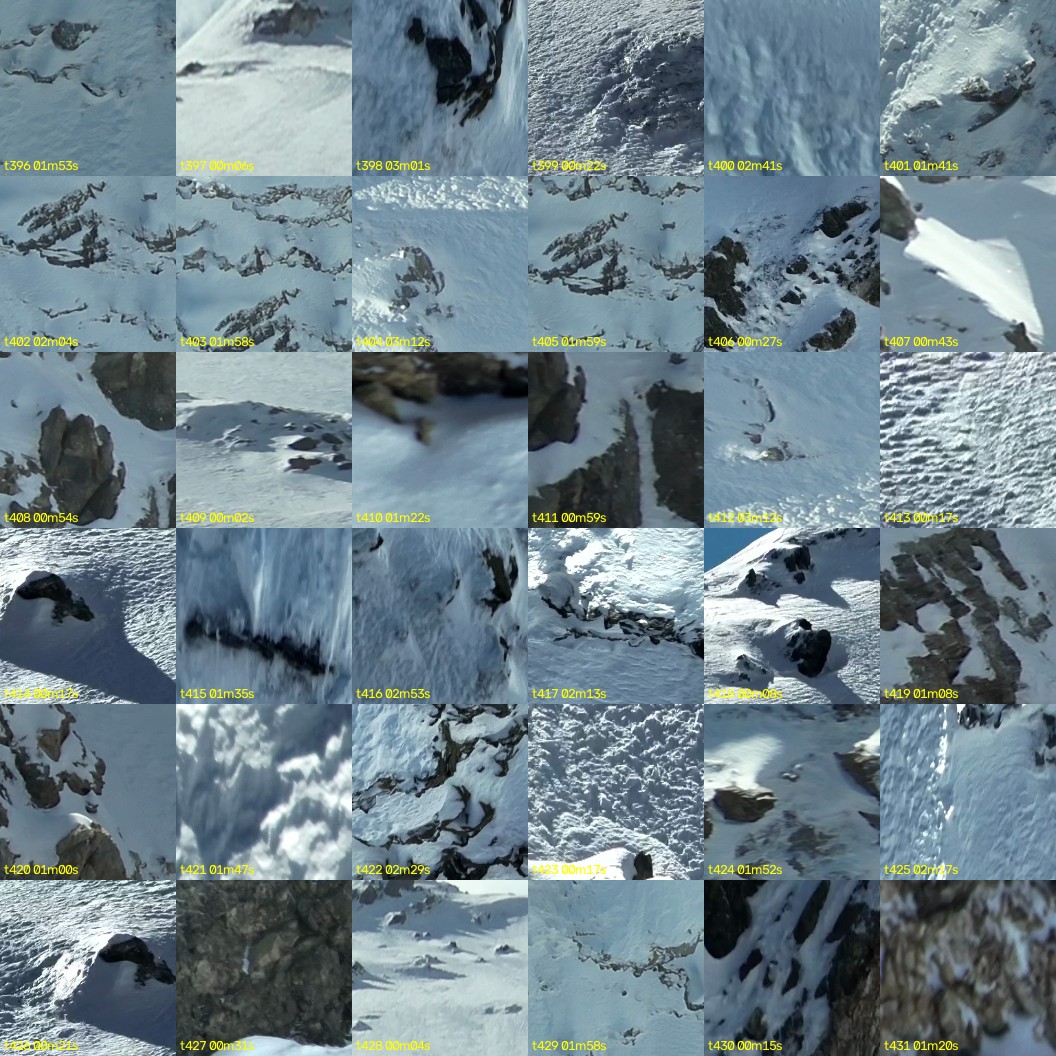 montage_11.jpg