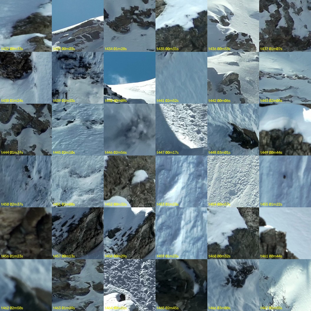 montage_12.jpg