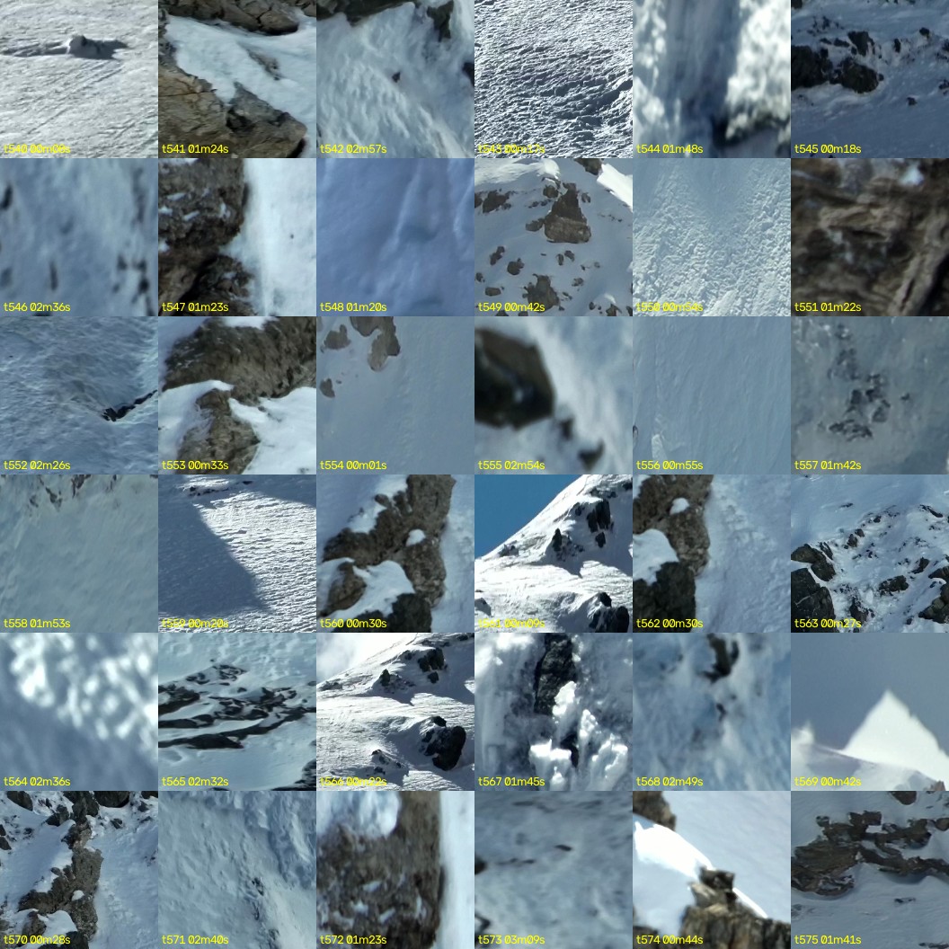 montage_15.jpg