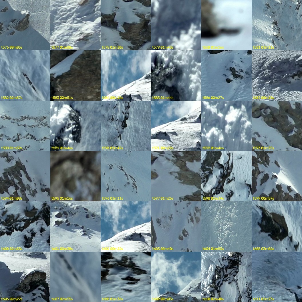 montage_16.jpg