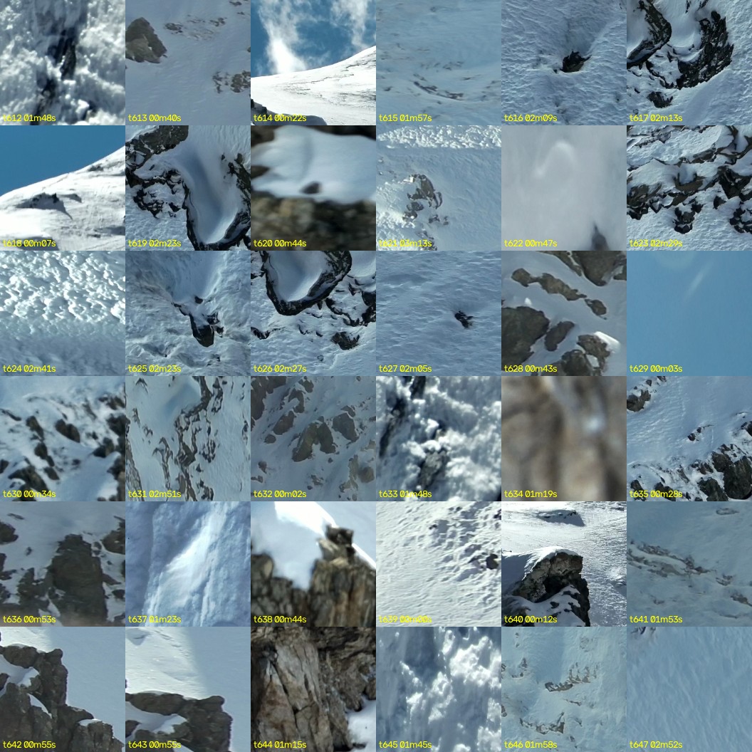 montage_17.jpg