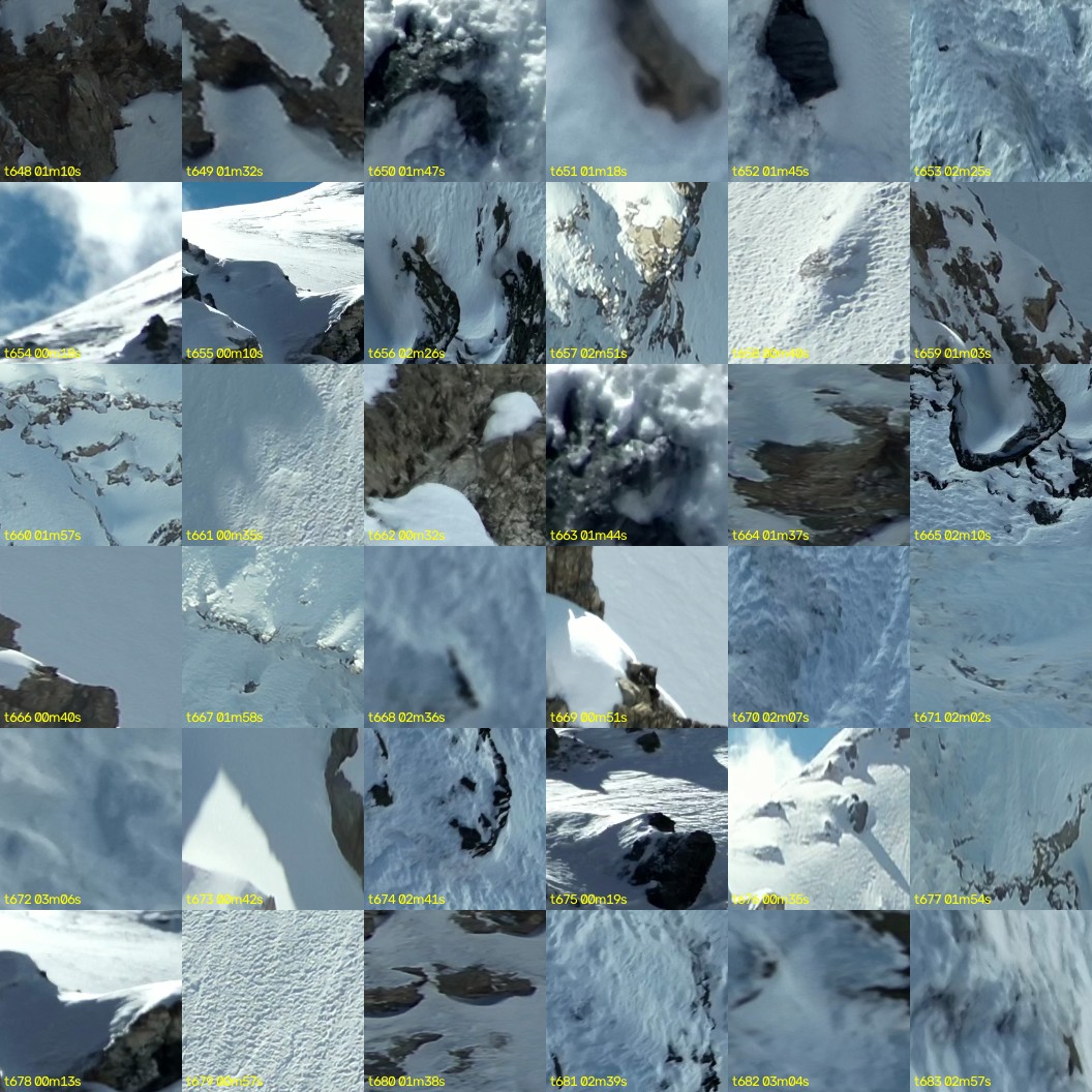 montage_18.jpg