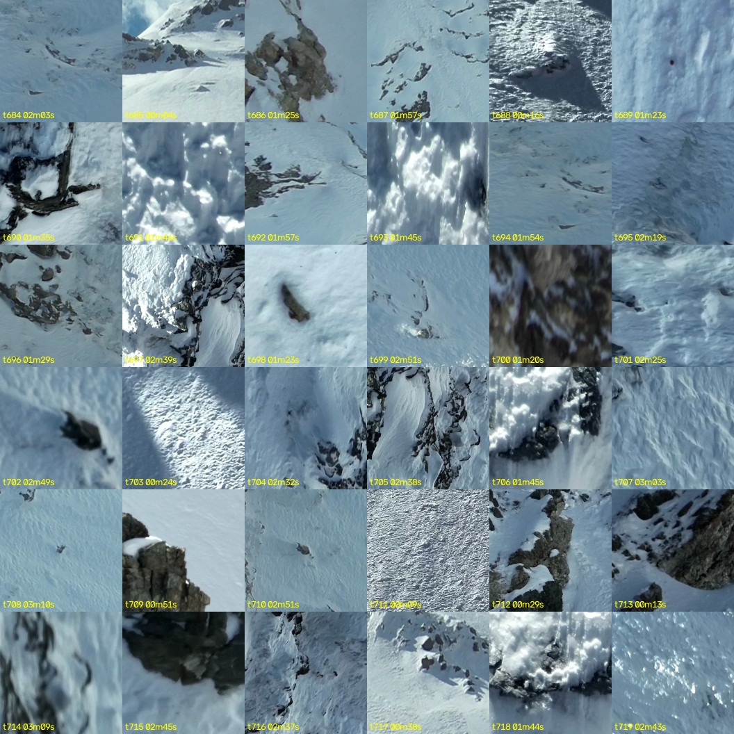 montage_19.jpg