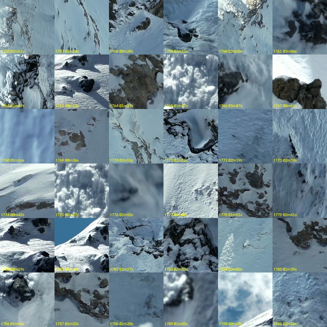 montage_21.jpg