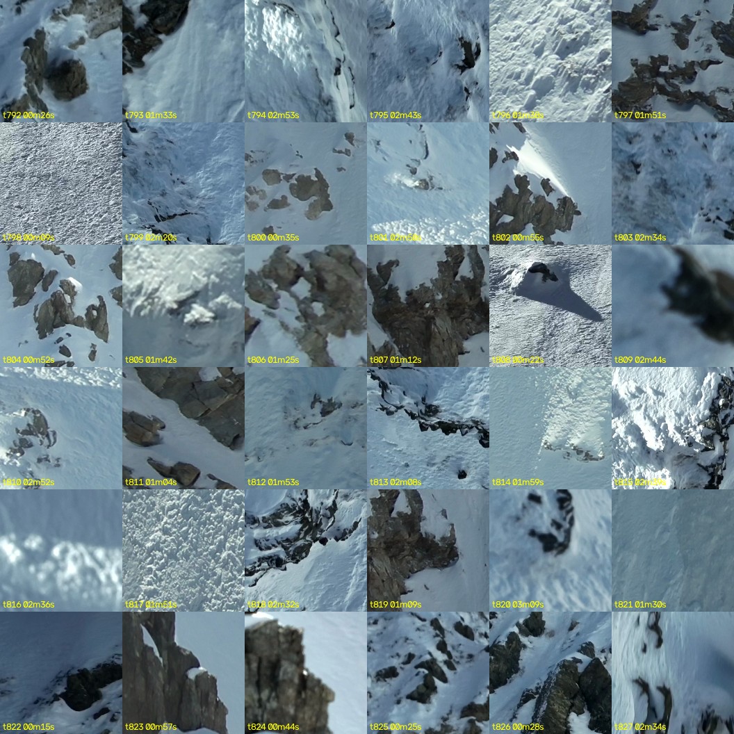 montage_22.jpg