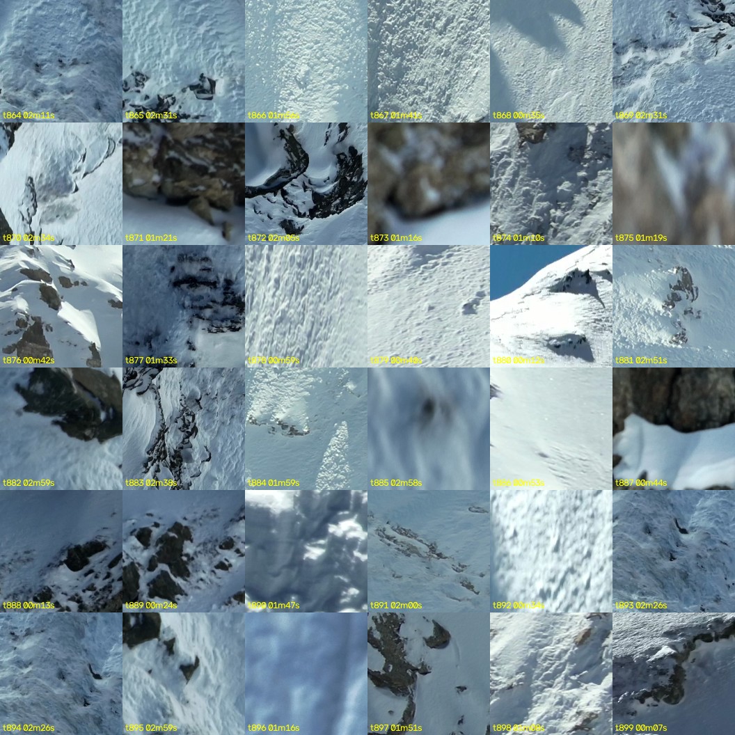 montage_24.jpg