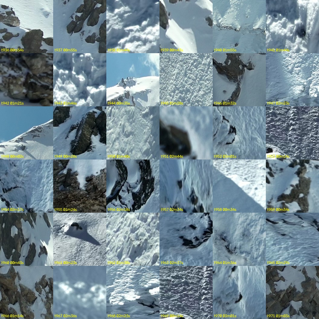 montage_26.jpg