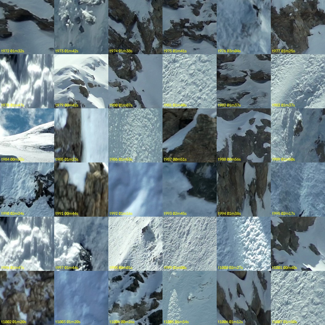 montage_27.jpg