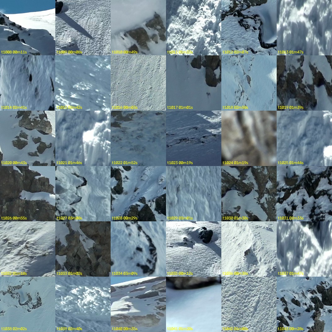 montage_28.jpg
