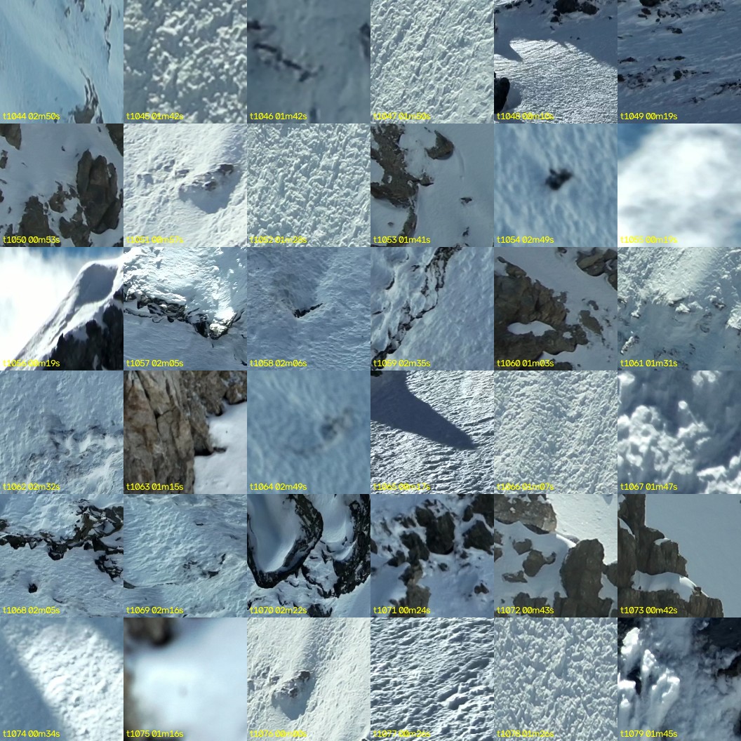 montage_29.jpg