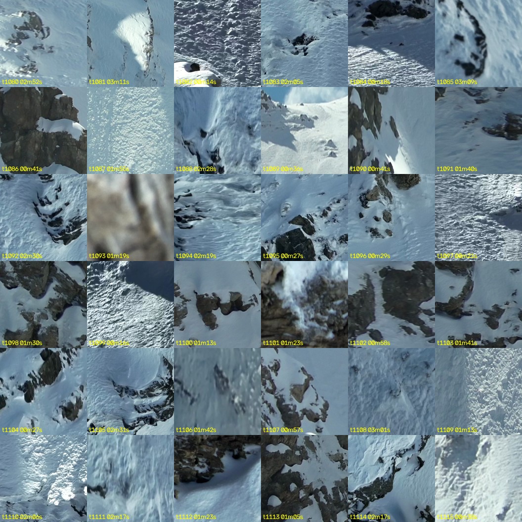 montage_30.jpg