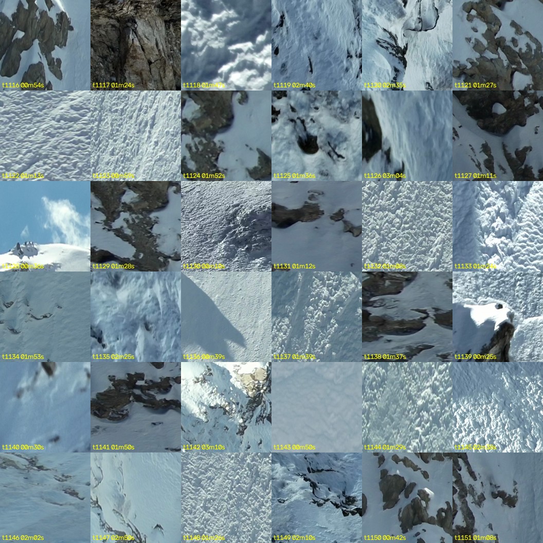 montage_31.jpg