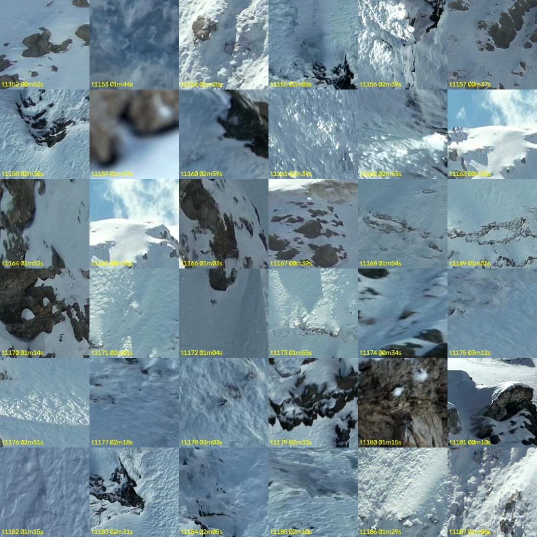 montage_32.jpg