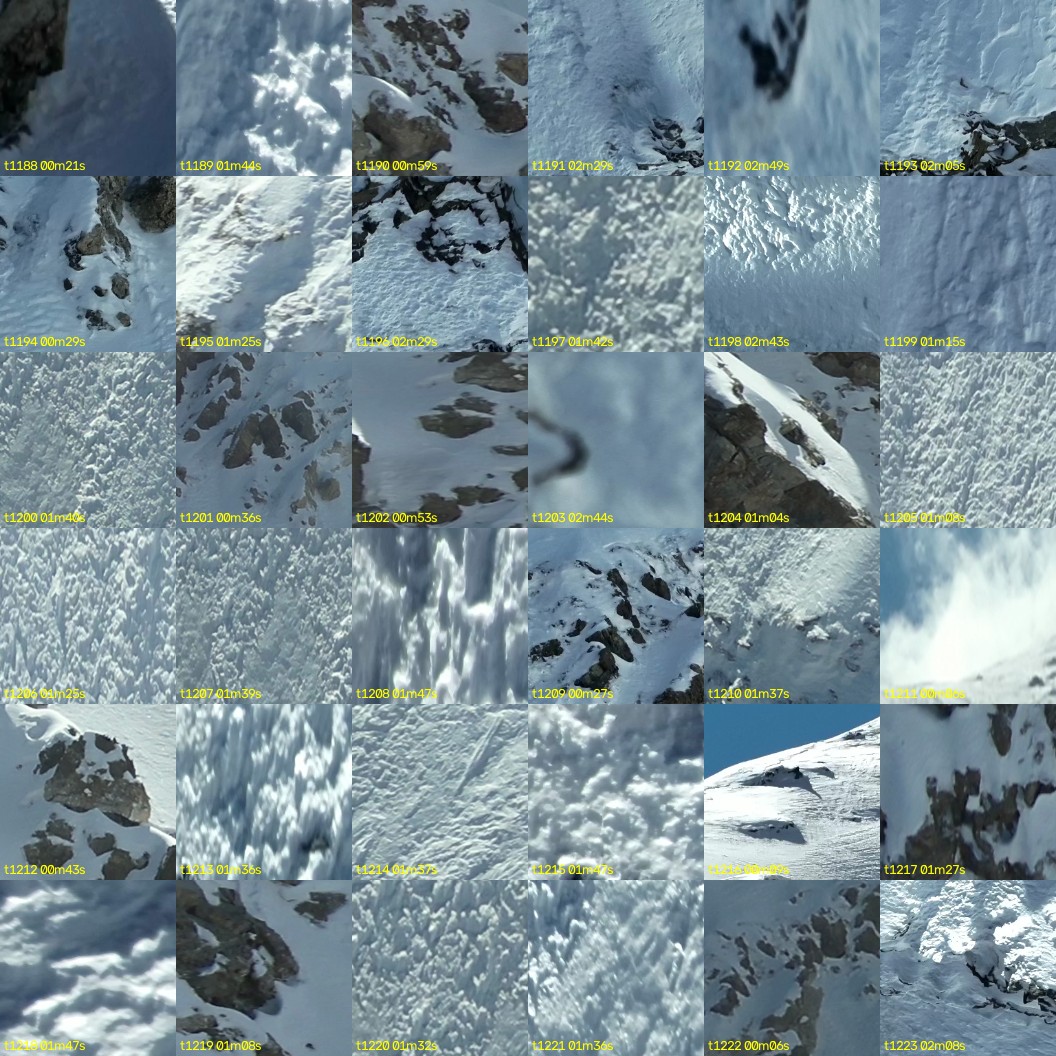 montage_33.jpg