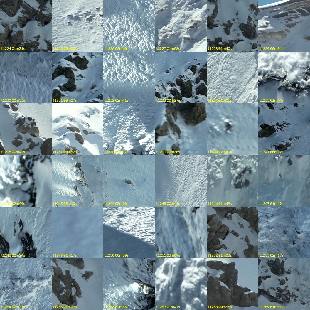 montage_34.jpg