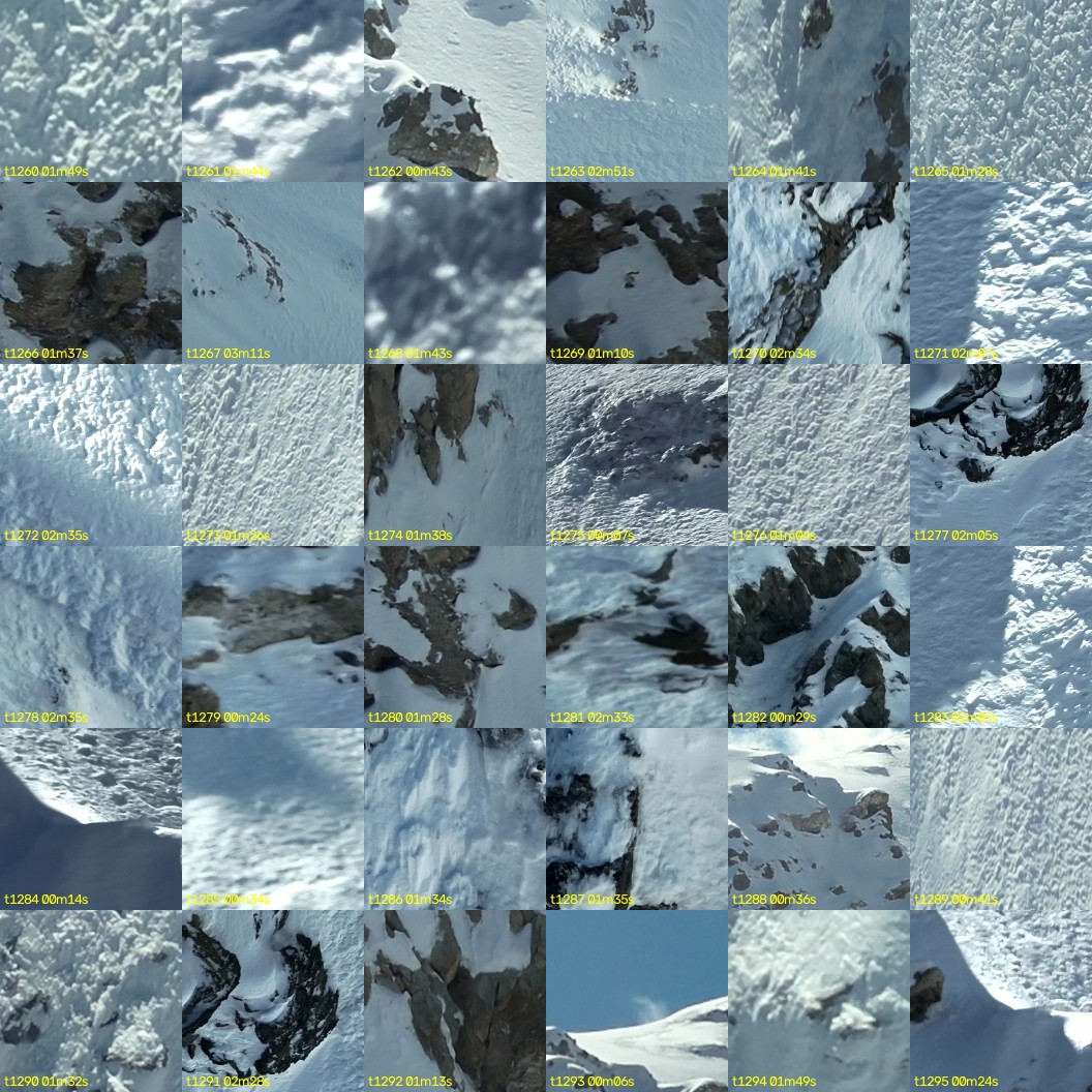 montage_35.jpg