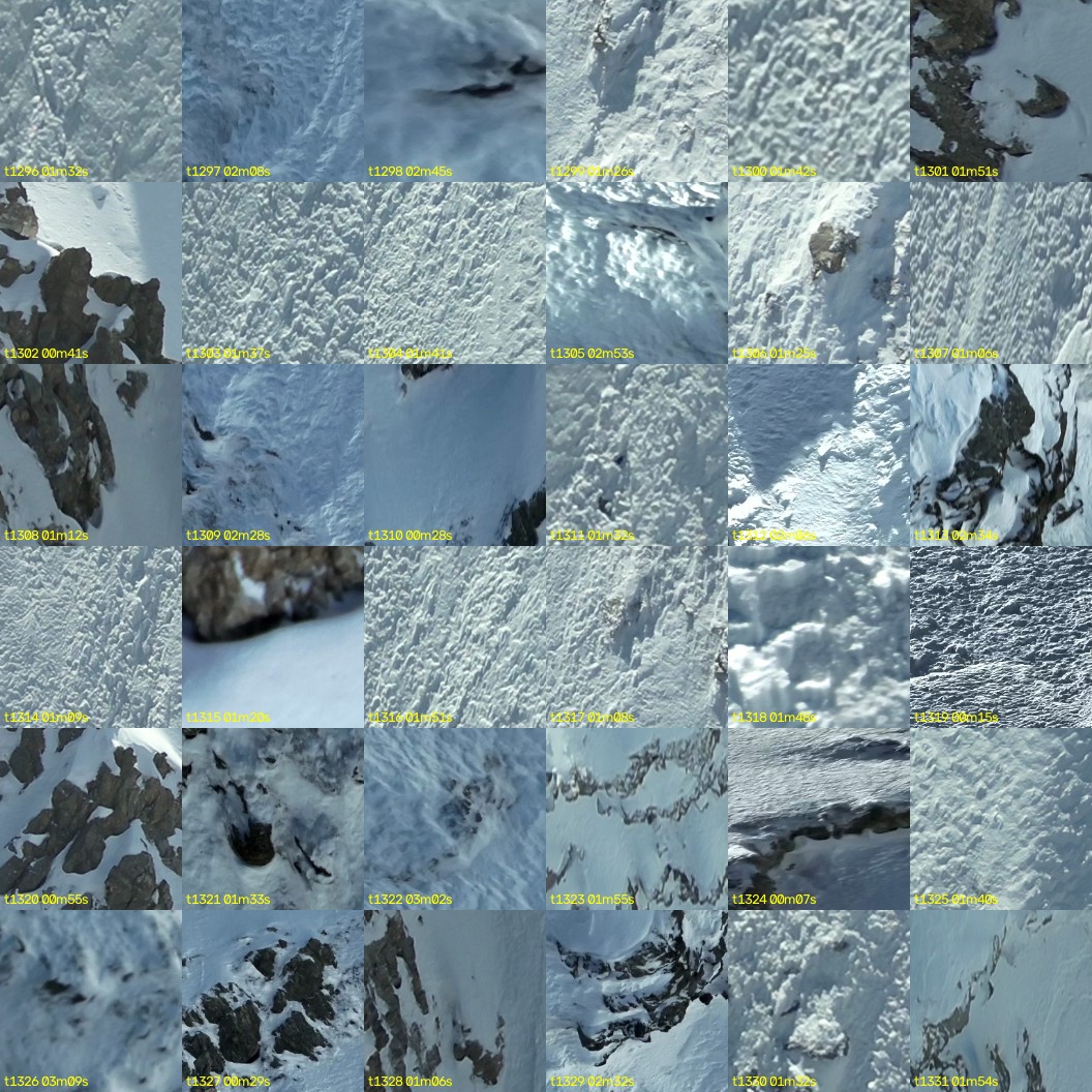 montage_36.jpg