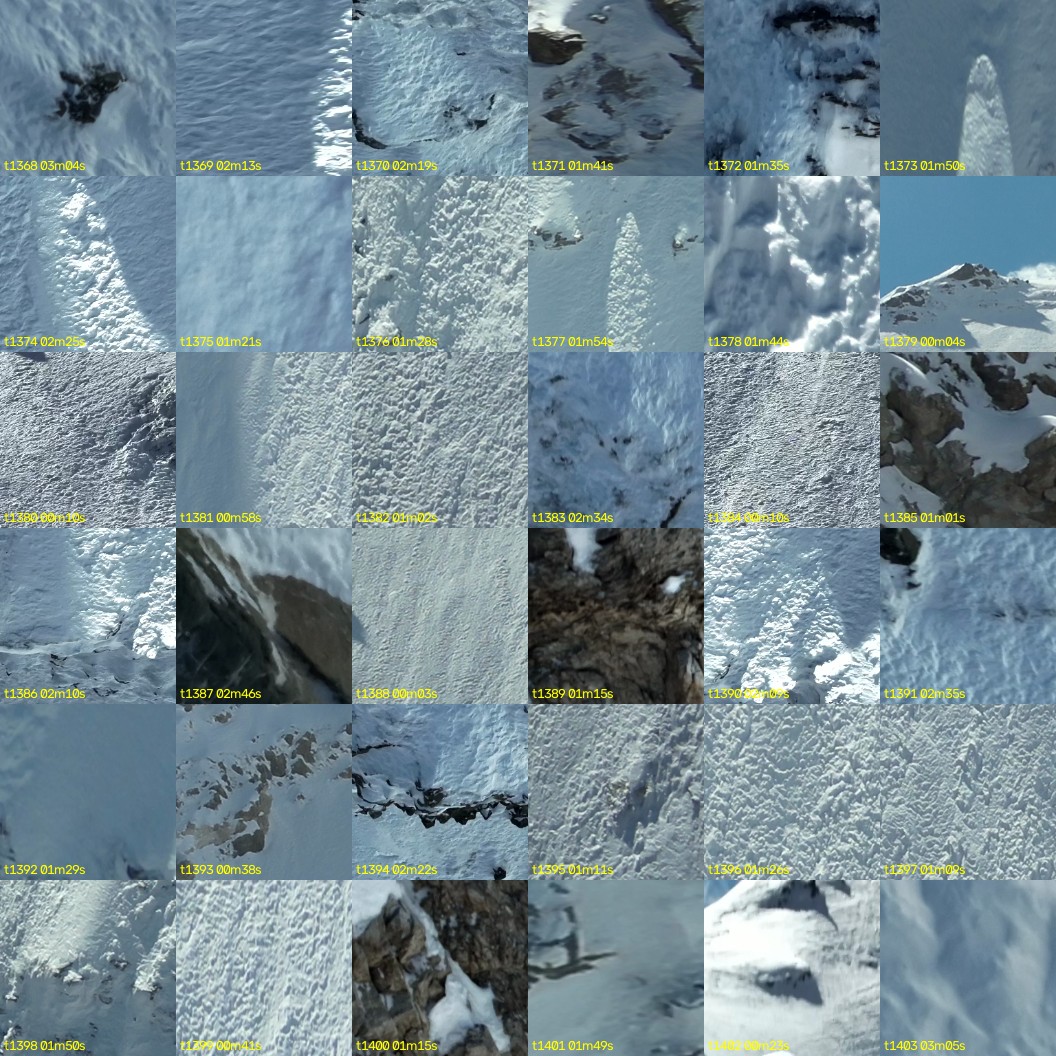 montage_38.jpg