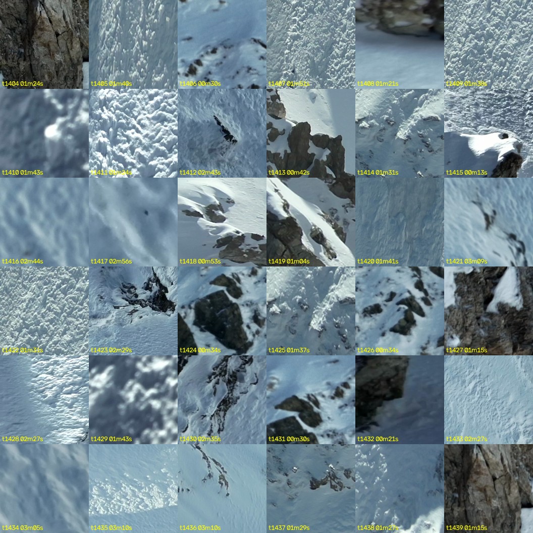 montage_39.jpg