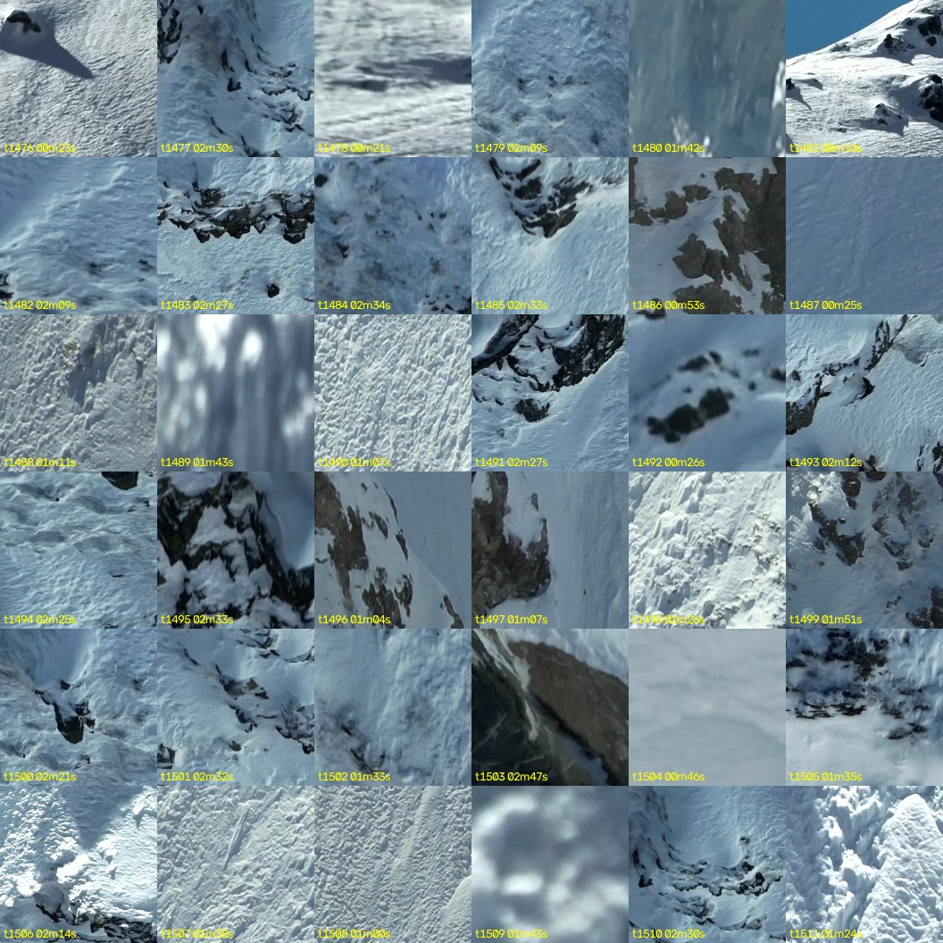 montage_41.jpg