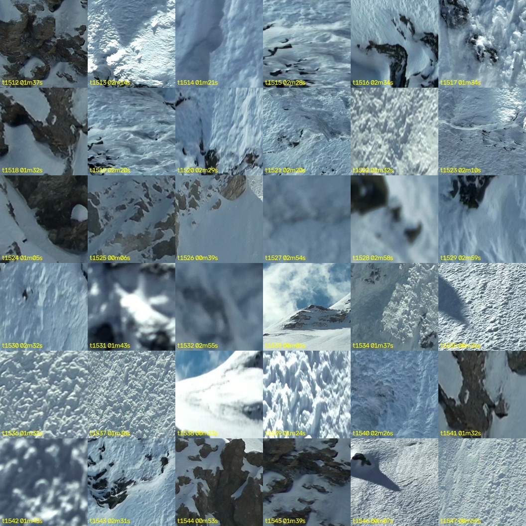 montage_42.jpg