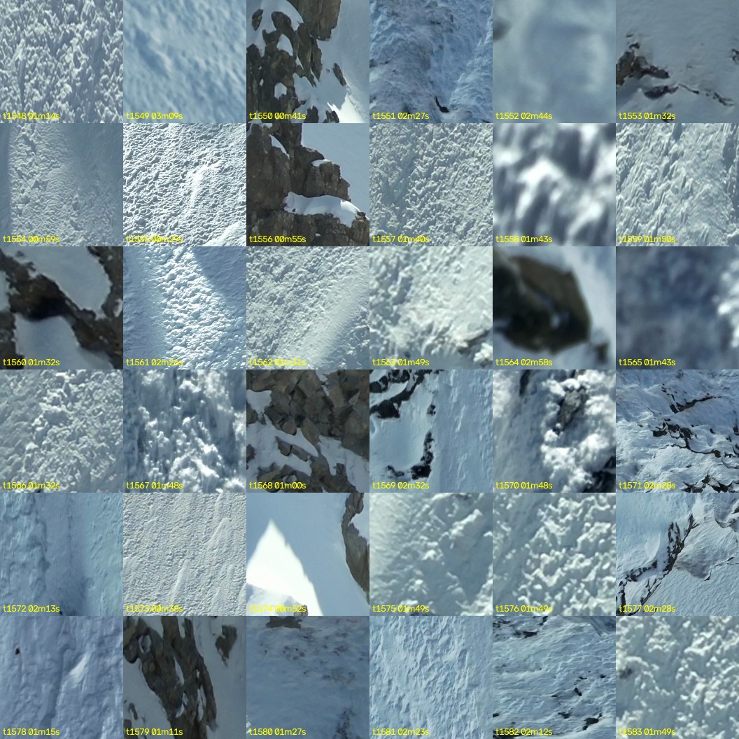 montage_43.jpg
