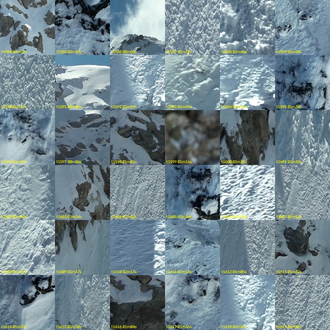 montage_44.jpg