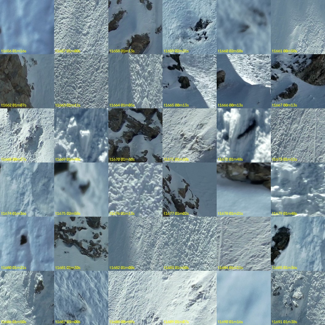 montage_46.jpg