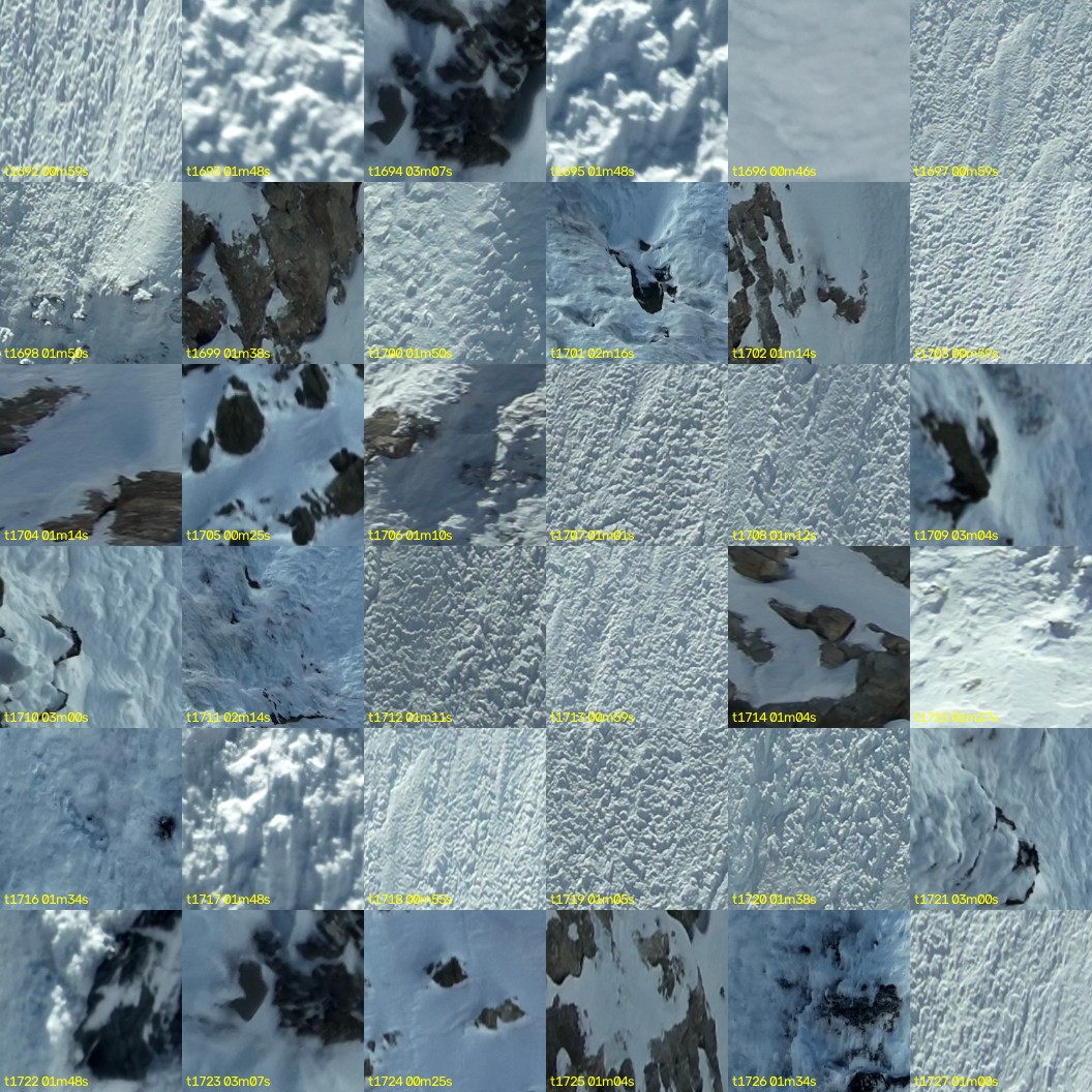 montage_47.jpg