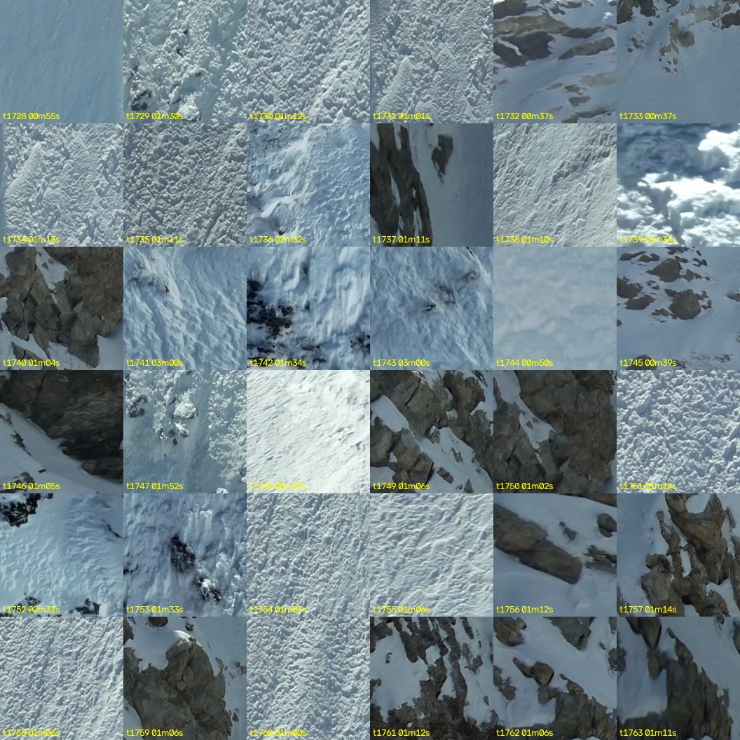 montage_48.jpg
