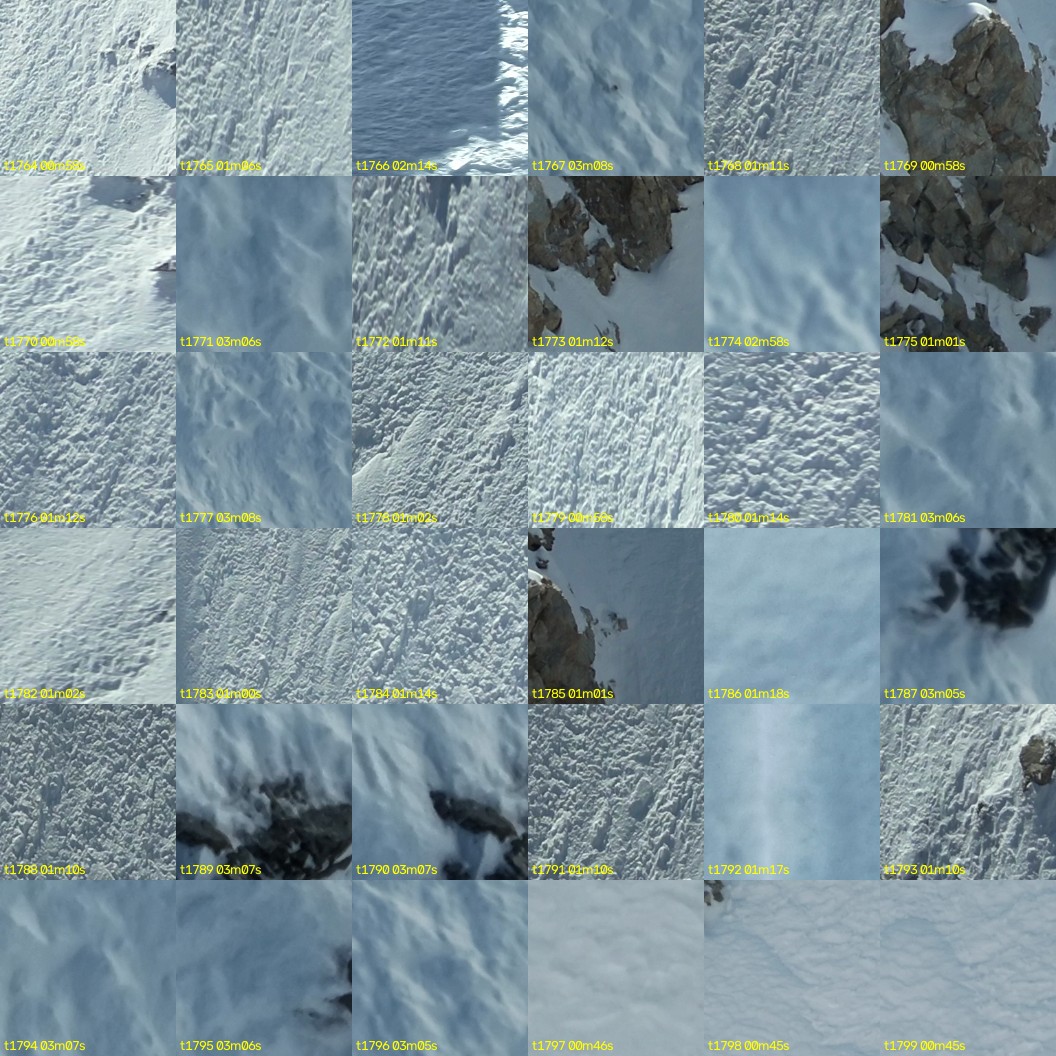montage_49.jpg