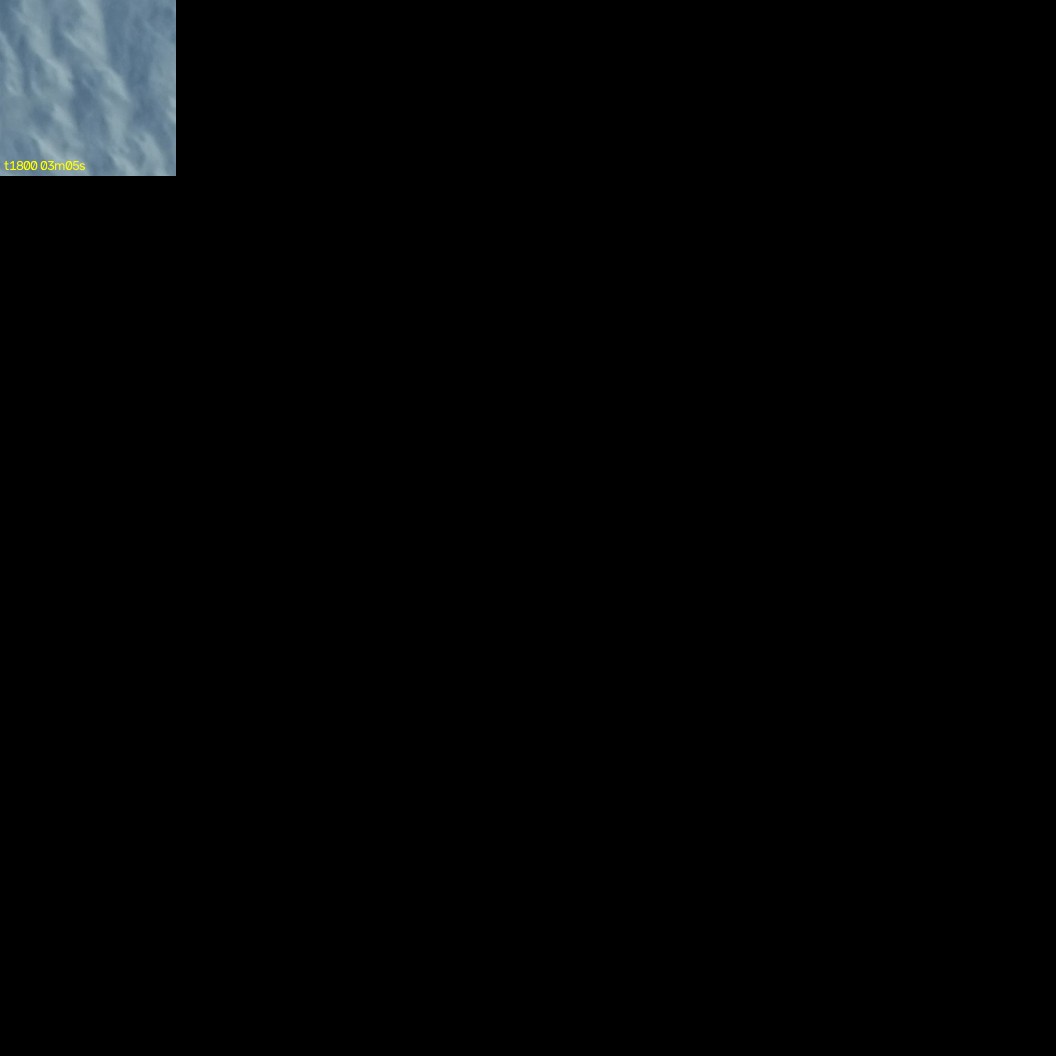 montage_50.jpg