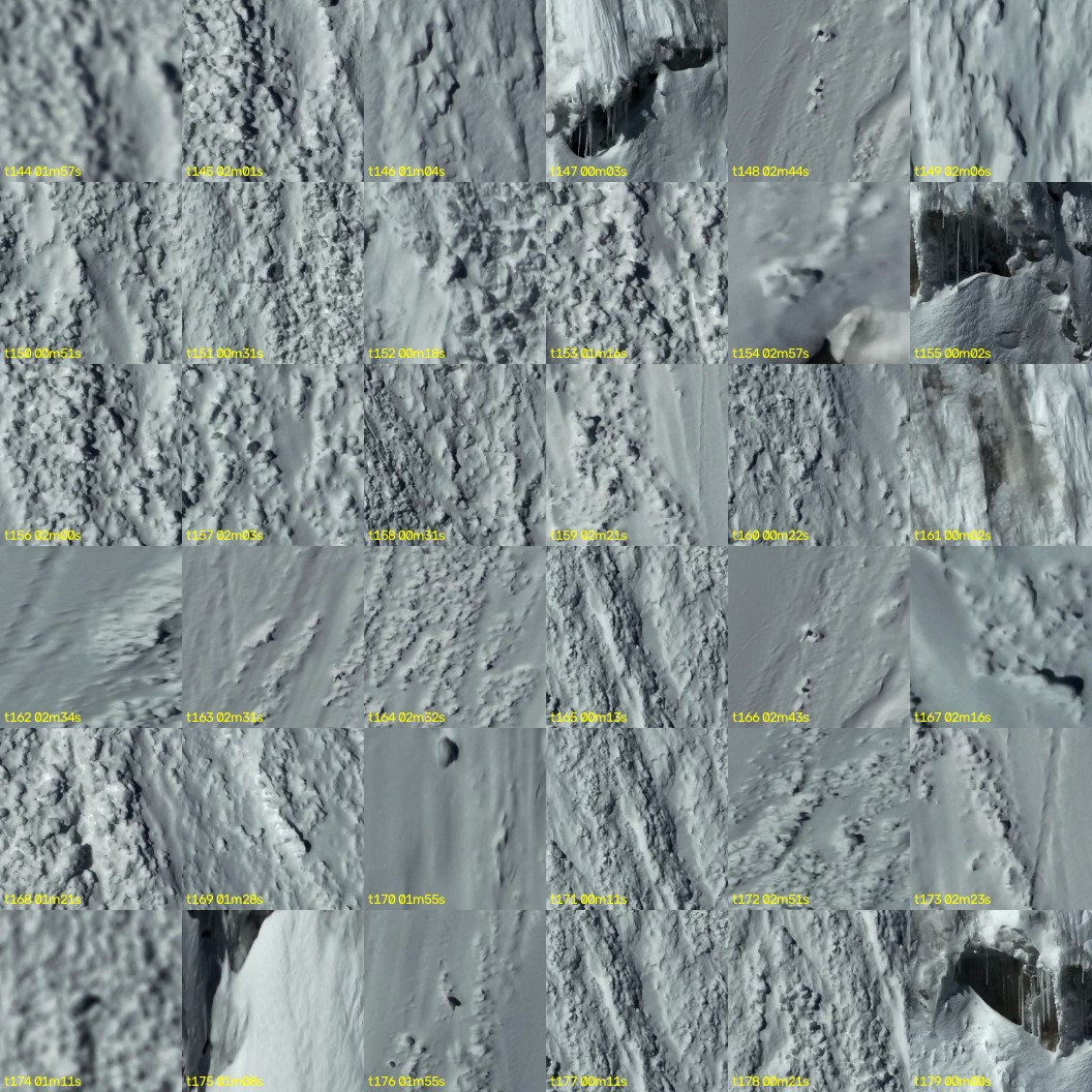 montage_04.jpg