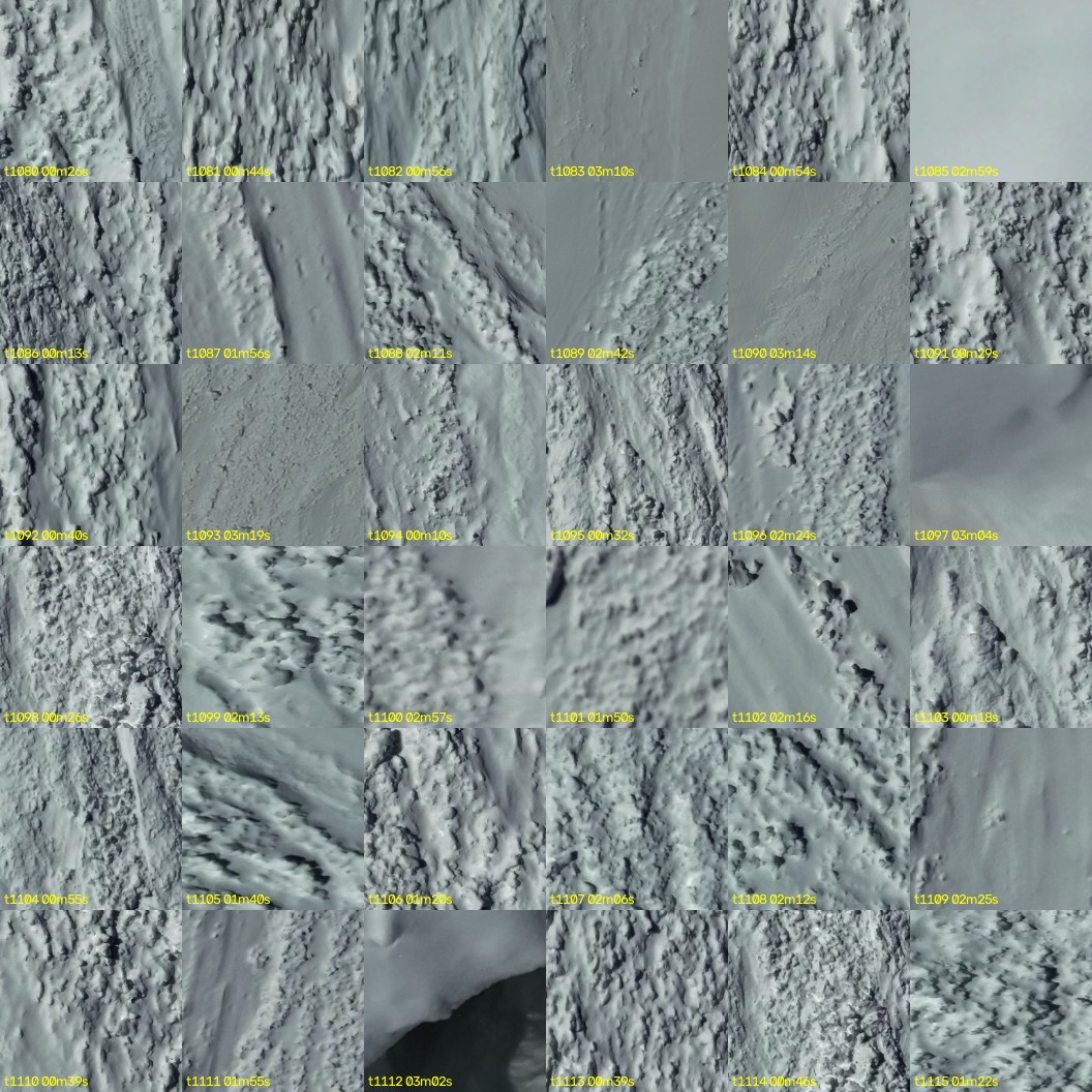montage_30.jpg