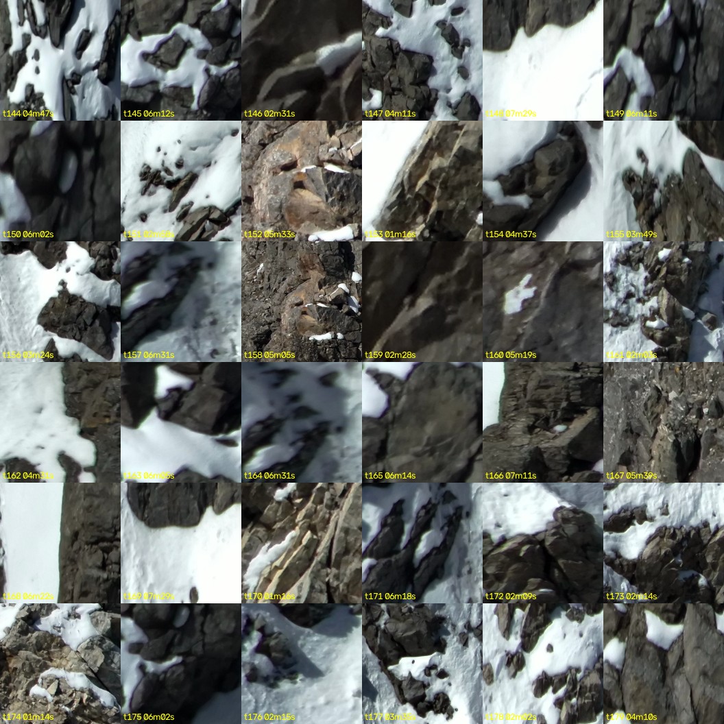 montage_04.jpg