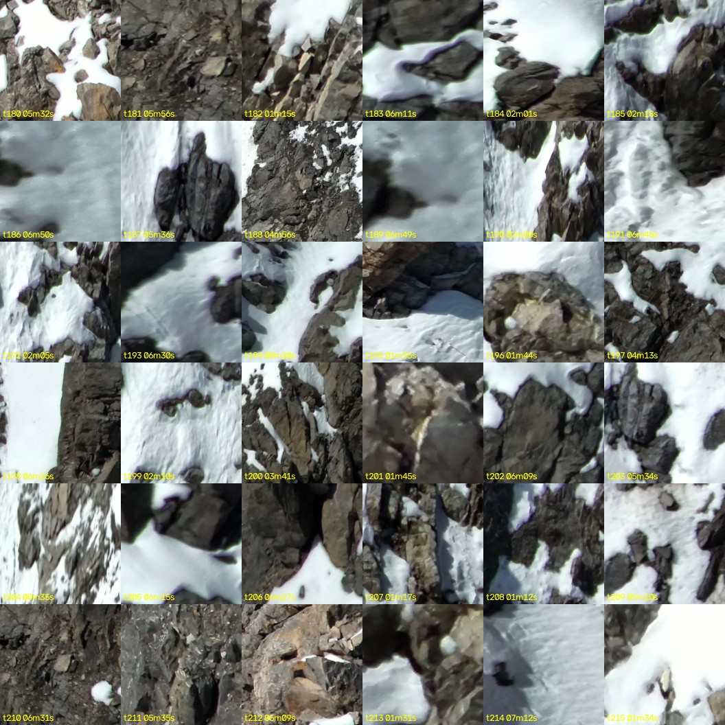 montage_05.jpg