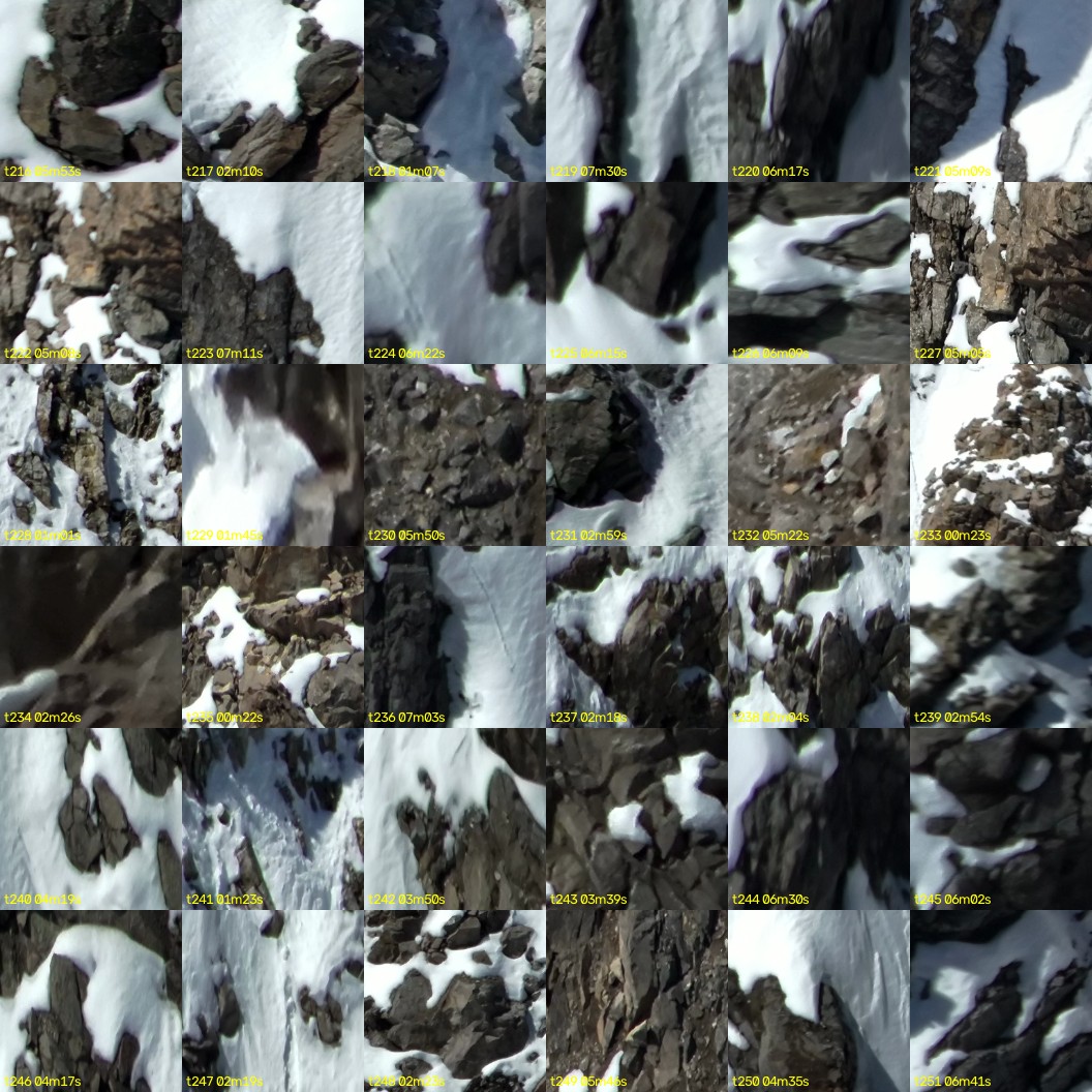 montage_06.jpg