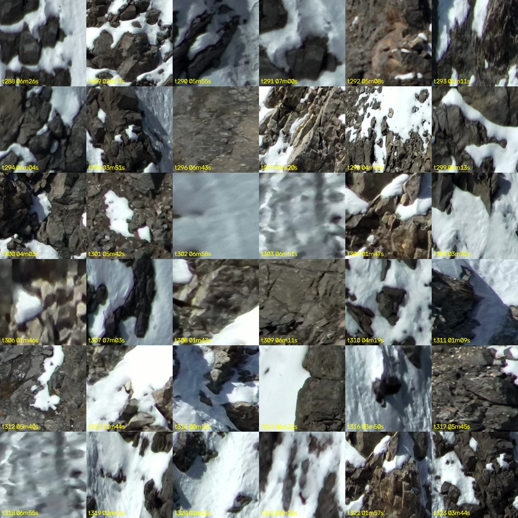 montage_08.jpg