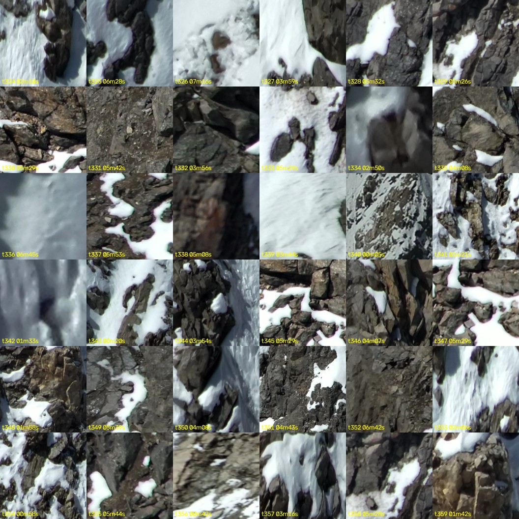 montage_09.jpg
