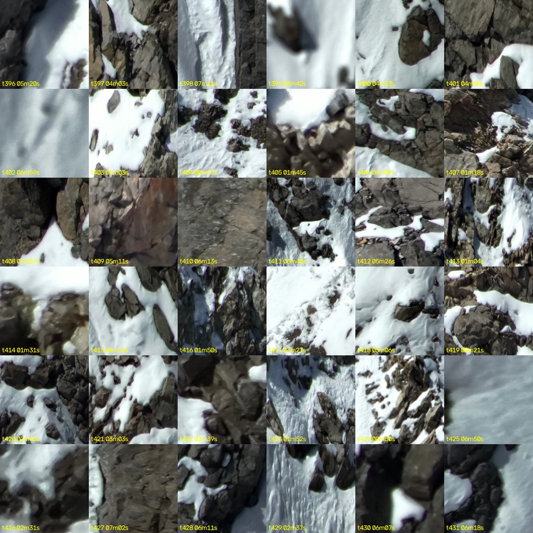 montage_11.jpg