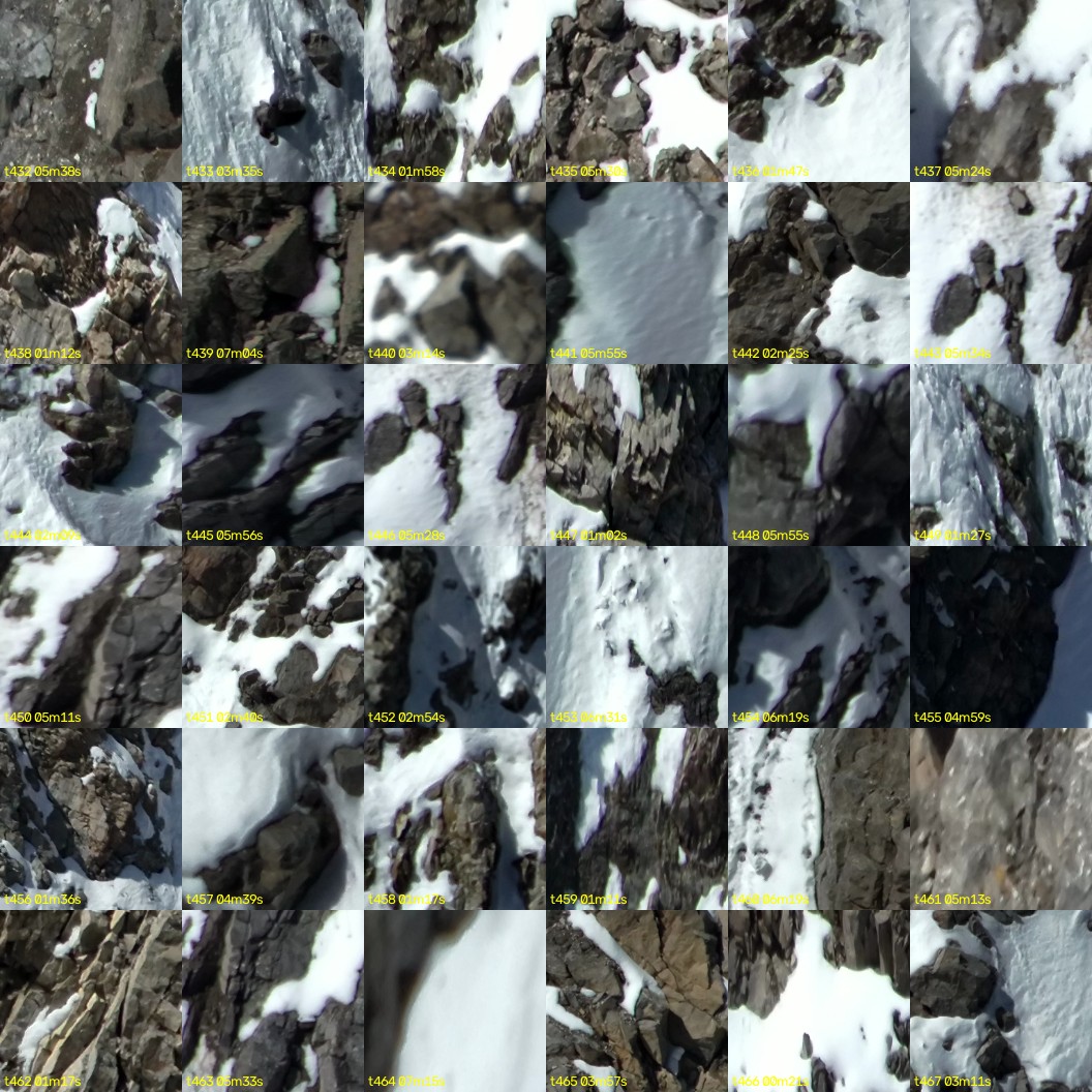 montage_12.jpg