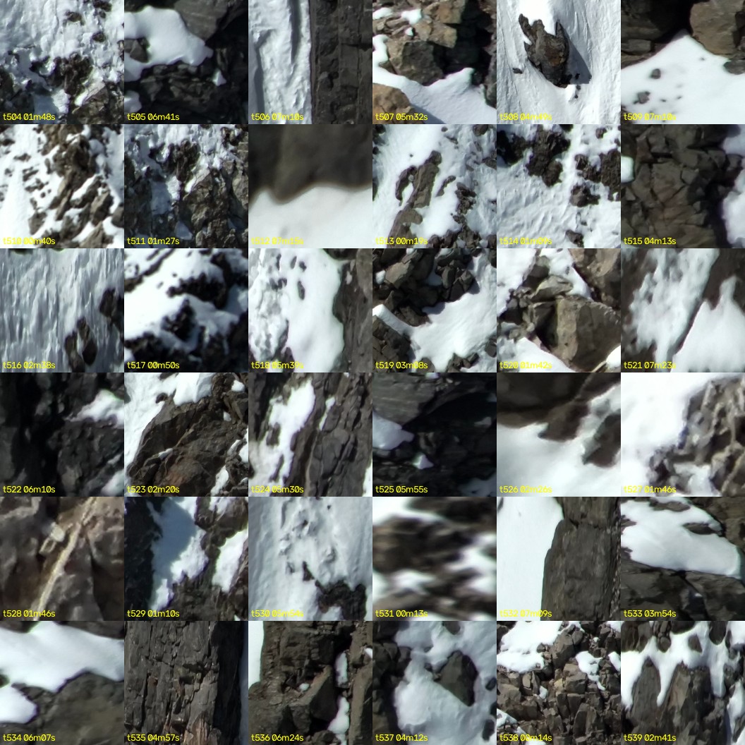 montage_14.jpg