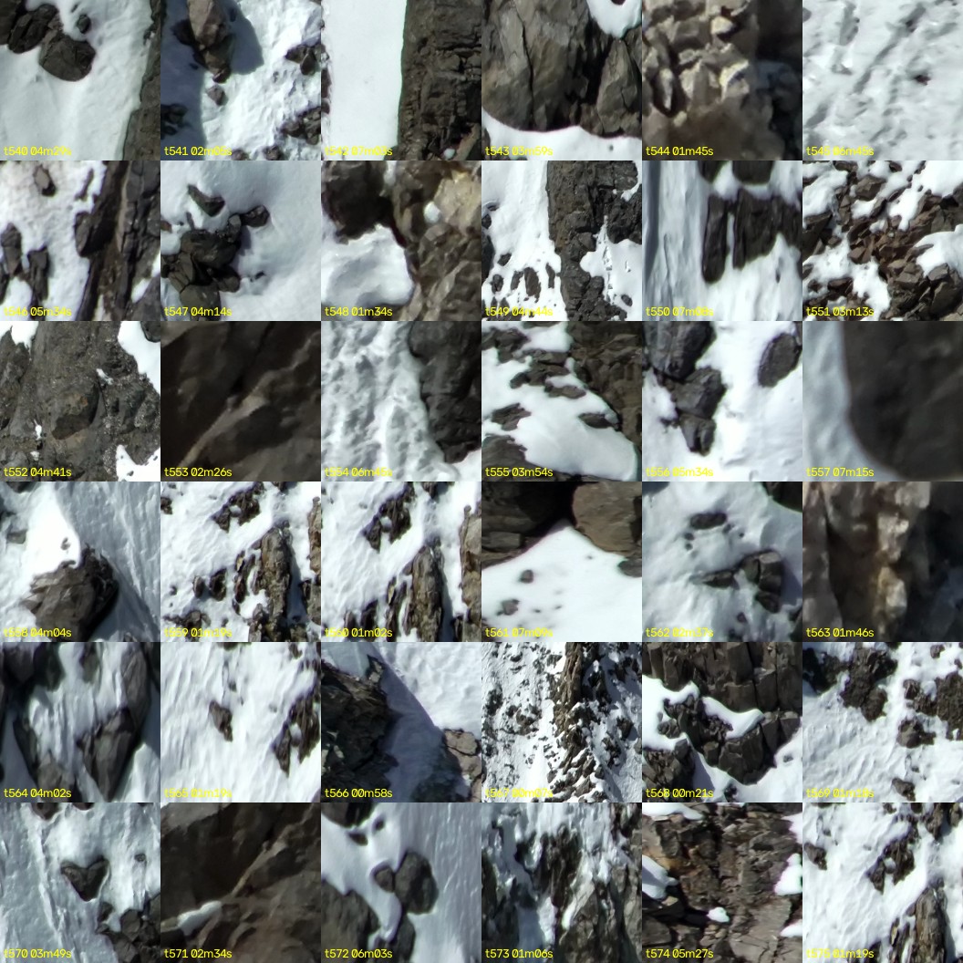 montage_15.jpg