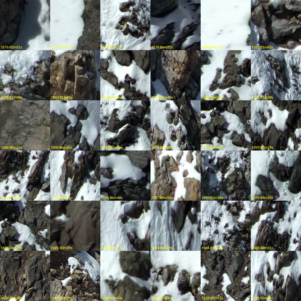 montage_16.jpg