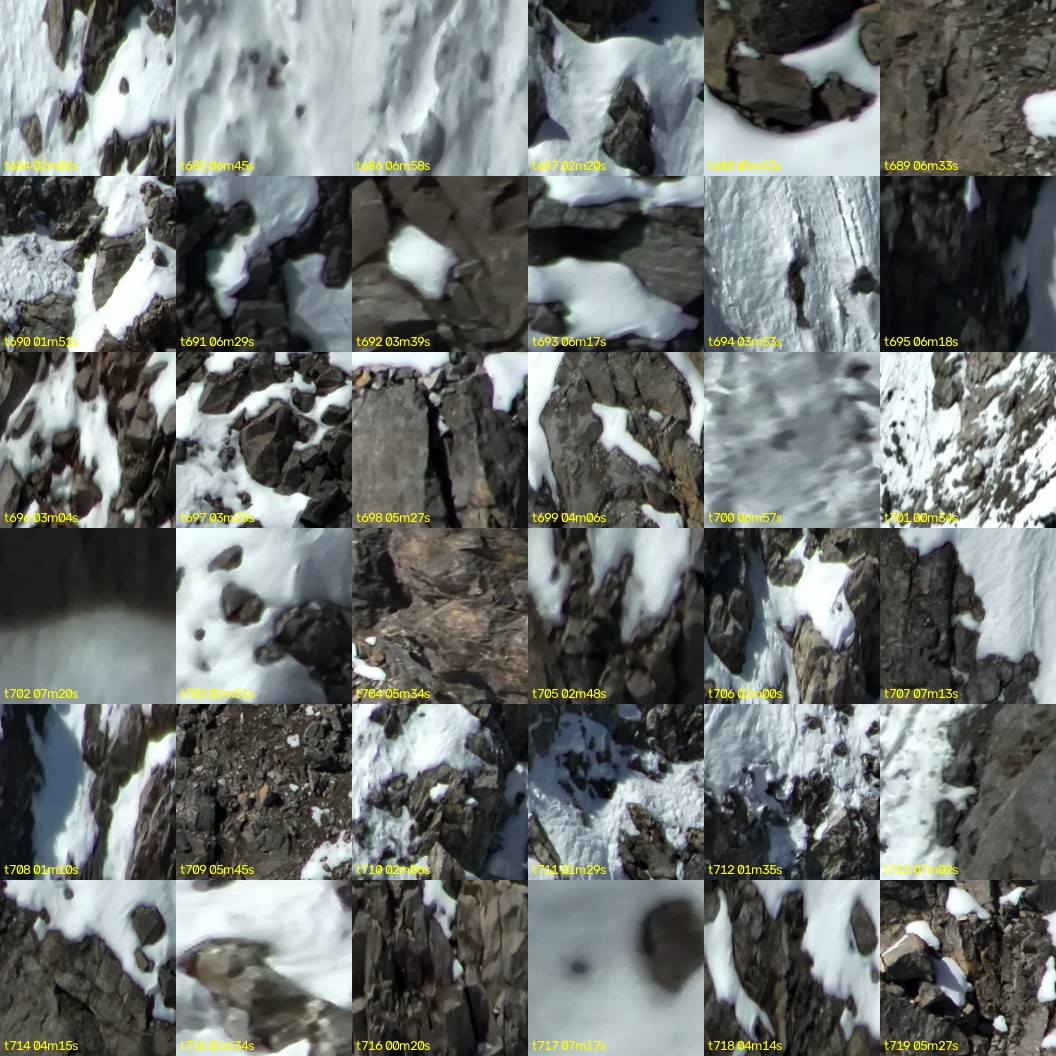 montage_19.jpg