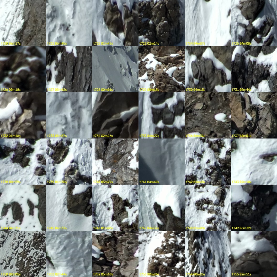 montage_20.jpg
